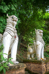 Image showing White statue in Wat Palad temple, Chiang Mai, Thailand