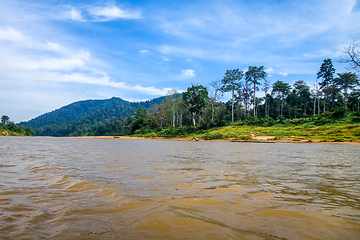 Image showing River and jungle in Taman Negara national park, Malaysia