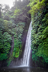 Image showing Red Coral Waterfall, Munduk, Bali, Indonesia