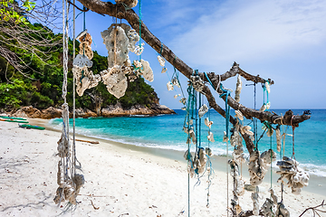 Image showing Hanging coral, Perhentian Islands, Malaysia