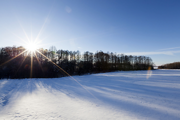 Image showing Snow in winter