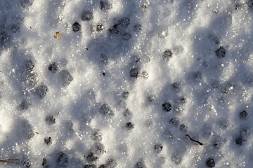 Image showing Snow after snowfall