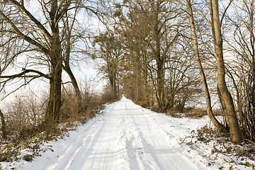 Image showing Rural winter road