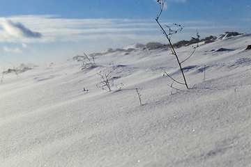 Image showing Snow in winter