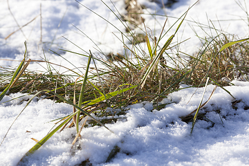 Image showing After snowfall