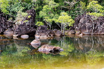 Image showing Masoala National Park landscape, Madagascar