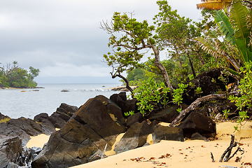 Image showing Masoala National Park landscape, Madagascar