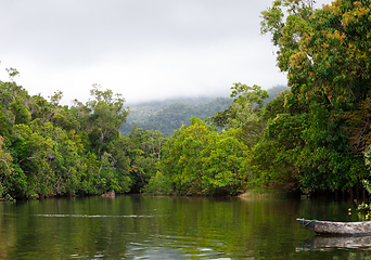 Image showing Masoala National Park landscape, Madagascar