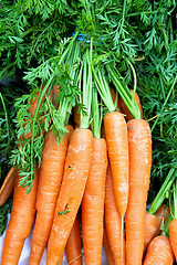 Image showing Carrots