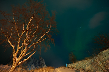 Image showing Aurora borealis Green northern lights above mountains