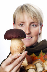 Image showing mushrooms