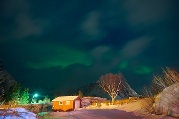 Image showing Aurora borealis Green northern lights above mountains