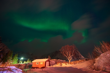 Image showing Aurora borealis Green northern lights above mountains