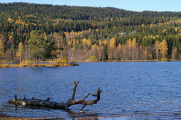 Image showing Sognsvann in Oslo