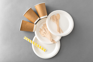 Image showing disposable dishes of paper and wood