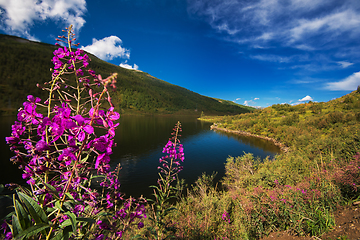 Image showing Lake in the Altai Mountains