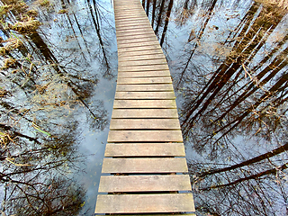 Image showing wooden footbridge through the lake nature trail