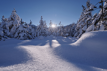 Image showing winter sunrise with fresh snow covered forest and mountains