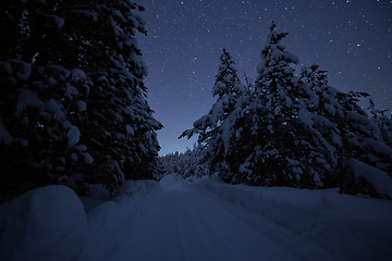 Image showing winter night landscape nature forest