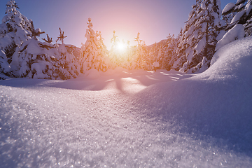 Image showing winter sunrise with fresh snow covered forest and mountains