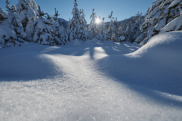 Image showing winter sunrise with fresh snow covered forest and mountains