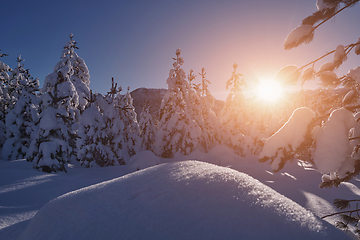 Image showing winter sunrise with fresh snow covered forest and mountains