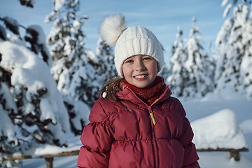 Image showing cute little girl on beautiful winter day