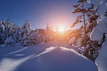 Image showing winter sunrise with fresh snow covered forest and mountains