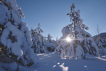 Image showing winter sunrise with fresh snow covered forest and mountains