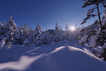 Image showing winter sunrise with fresh snow covered forest and mountains