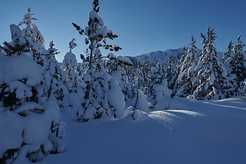 Image showing winter sunrise with fresh snow covered forest and mountains