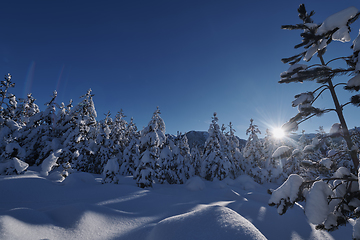 Image showing winter sunrise with fresh snow covered forest and mountains