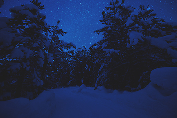 Image showing winter night landscape nature forest