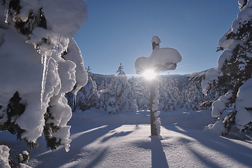 Image showing wooden cross covered with fresh snow at beautiful fresh winter morning