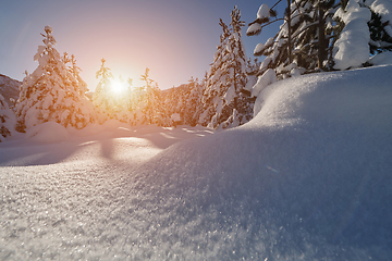 Image showing winter sunrise with fresh snow covered forest and mountains