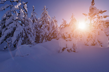 Image showing winter sunrise with fresh snow covered forest and mountains