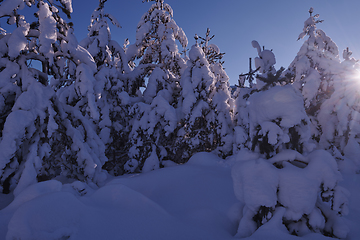 Image showing winter sunrise with fresh snow covered forest and mountains