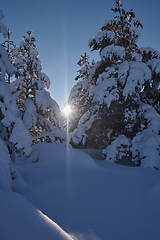 Image showing winter sunrise with fresh snow covered forest and mountains