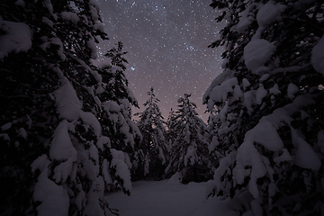 Image showing winter night landscape nature forest