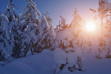 Image showing winter sunrise with fresh snow covered forest and mountains