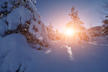 Image showing winter sunrise with fresh snow covered forest and mountains