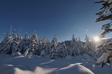 Image showing winter sunrise with fresh snow covered forest and mountains