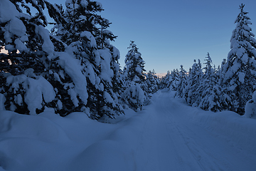 Image showing winter sunrise with fresh snow covered forest and mountains