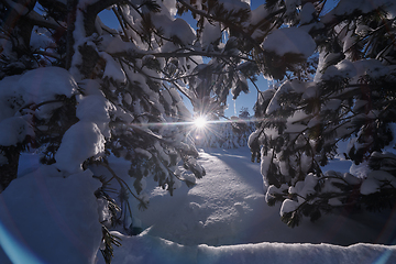 Image showing winter sunrise with fresh snow covered forest and mountains