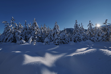 Image showing winter sunrise with fresh snow covered forest and mountains