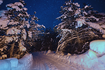 Image showing winter night landscape nature forest