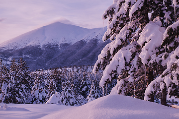 Image showing winter sunrise with fresh snow covered forest and mountains