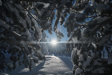 Image showing winter sunrise with fresh snow covered forest and mountains