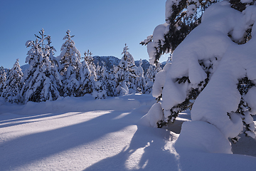 Image showing winter sunrise with fresh snow covered forest and mountains