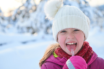 Image showing cute little girl while eating icicle on beautiful winter day